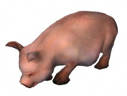 Schwein (Dekoration).jpg
