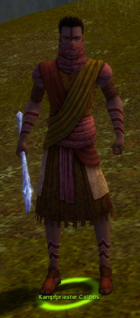 Kampfpriester Calibos.jpg