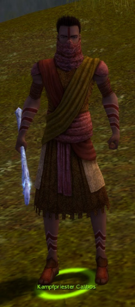 Datei:Kampfpriester Calibos.jpg