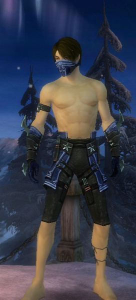 Datei:Assassine Luxon-Rüstung Männlich hand bein vorne.jpg