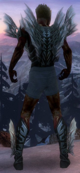 Datei:Nekromant Altehrwürdige Rüstung Männlich brust schuh hinten.jpg