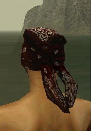 Halstuch Männlich hinten.jpg