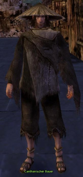 Datei:Canthanischer Bauer.jpg