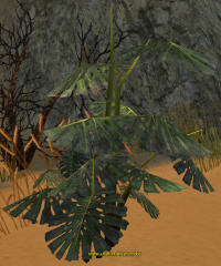 Mehkuunah-Pflanzen-Probe (Interaktives Objekt).jpg