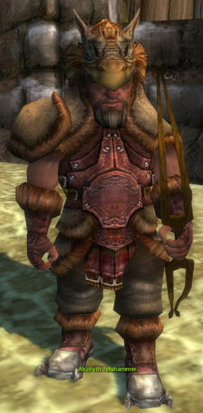 Datei:Akolyth Felshammer.jpg