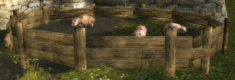 Datei:Dorf Dakutu Schweine.jpg