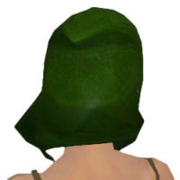 Glänzende Klinge-Kapuze weiblich hinten.jpg