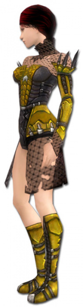 Datei:Nekromant Kabalen-Rüstung Weiblich seite.jpg