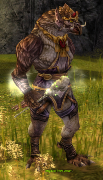 Datei:Angchu-Nekromant.jpg