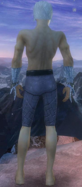 Datei:Elementarmagier Elite-Eisgeschmiedete-Rüstung Männlich hand bein hinten.jpg