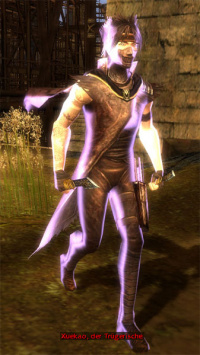 Xuekao, der Trügerische.jpg