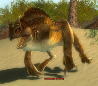 Blutrücken Morrob.jpg