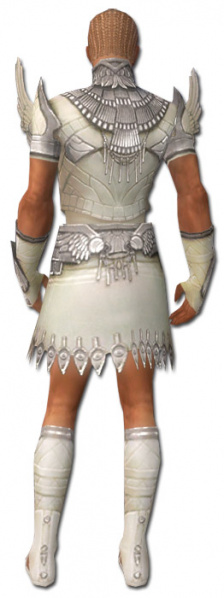 Datei:Paragon Vaabi-Rüstung Männlich hinten.jpg