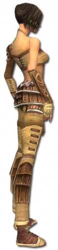 Akolythin Jin Zaishen-Rüstung rechts.jpg