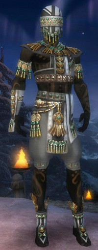 Benutzer Patneu-Shielding Ritualist.jpg