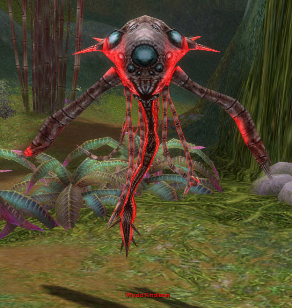 Datei:Wydd Kindlerun.jpg