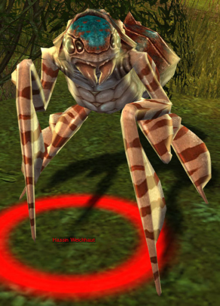 Datei:Hassin Weichhaut.jpg