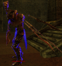 Gebundener Karei.jpg