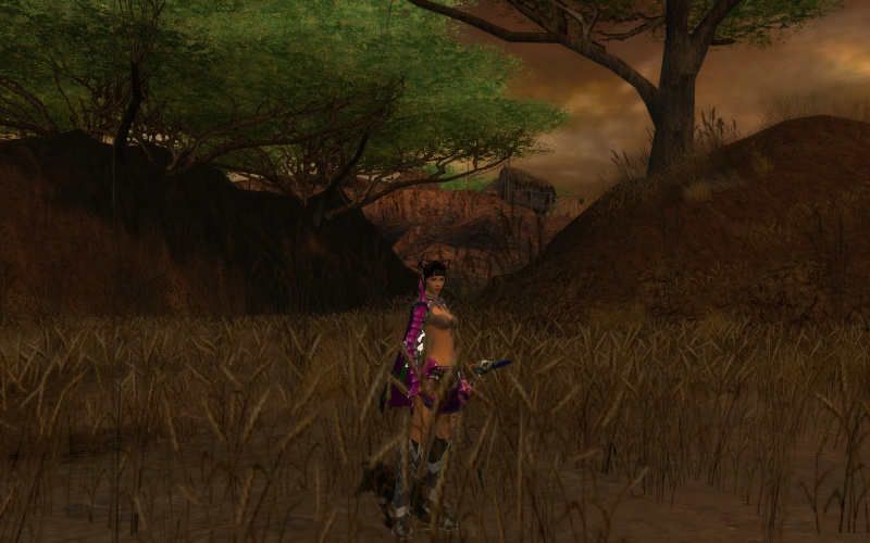 Datei:Unbekanntes Gebiet in Gandara.jpg