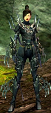 Zenmai Rätselhafte Rüstung vorne.jpg