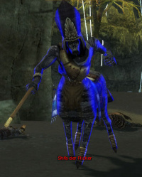 Shifa der Flicker.jpg