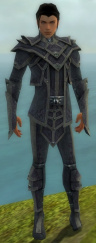 Elementarmagier Kryta-Rüstung Männlich vorne.jpg