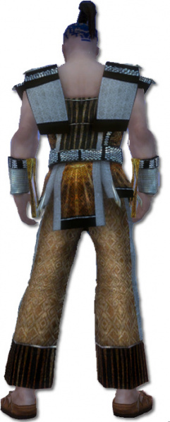 Datei:Mönch Elite-Sonnenspeer-Rüstung Männlich hinten.jpg