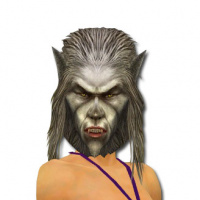 Wolfsmaske vorne.jpg