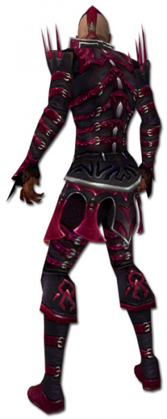 Datei:Nekromant Elite-Kabalen-Rüstung Männlich hinten.jpg