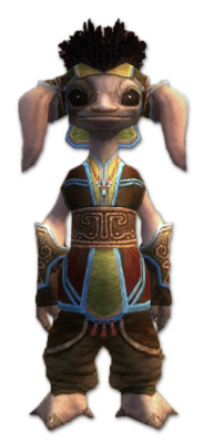 Vekk Bruderschafts-Rüstung vorne.jpg