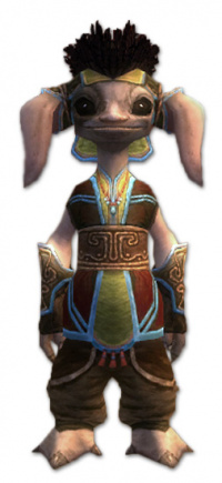 Vekk Bruderschafts-Rüstung vorne.jpg