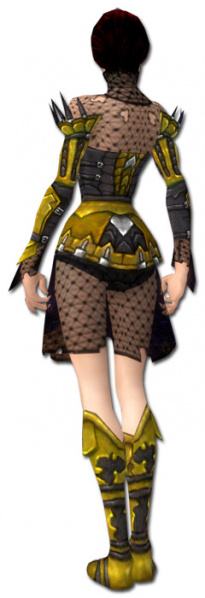 Datei:Nekromant Kabalen-Rüstung Weiblich hinten.jpg