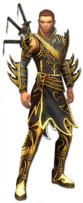 Anton Deldrimor-Rüstung vorne.jpg