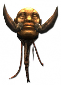 Erweckter-Kopf-Form-Avatar.jpg