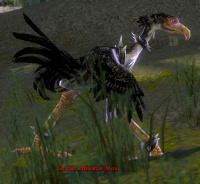 Scheuer schwarzer Moa.jpg