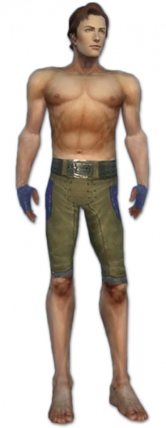 Datei:Mesmer Ascalon-Rüstung Männlich hand bein vorne.jpg