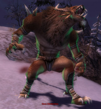 Docu Zündeschuss.jpg