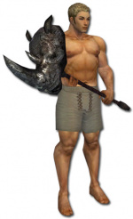 Angriff des Nashorns-männlich.jpg