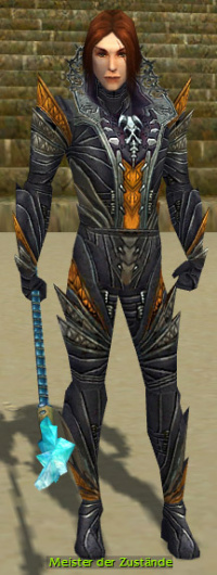 Meister der Zustände.jpg