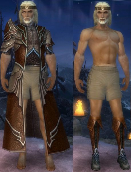 Datei:Waldläufer Deldrimor-Rüstung Männlich brust schuh vorne.jpg