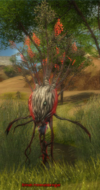 Birneh Himmelsbringer.jpg