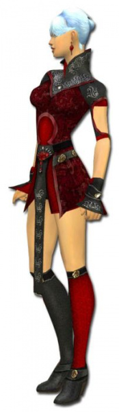 Datei:Elementarmagier Cantha-Rüstung Weiblich seite.jpg