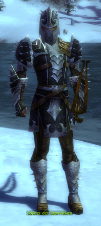 Späher der Ebon-Falken.jpg