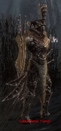 Gebundener Tiendi.jpg