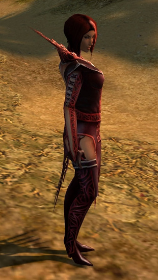 Livia Bruderschafts-Rüstung rechts.jpg