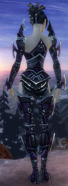 Datei:Nekromant Elite-Gottlos-Rüstung Weiblich hinten.jpg