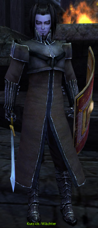 Kurzick-Wächter.jpg