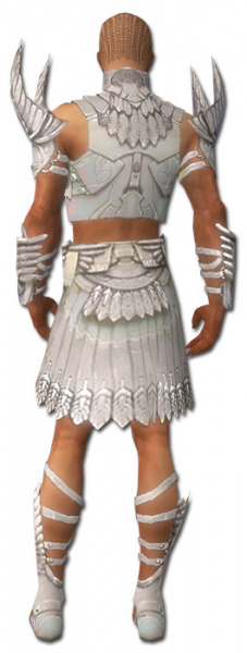 Datei:Paragon Elite-Sonnenspeer-Rüstung Männlich hinten.jpg