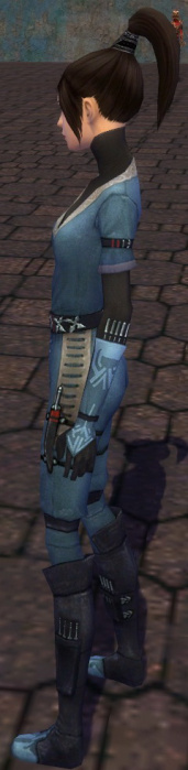 Zenmai Am Fah-Rüstung links.jpg