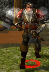 Meister der Hämmer.jpg